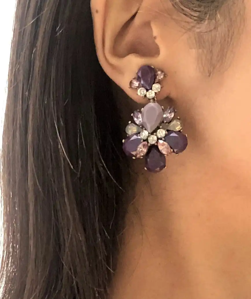 Multi Purple Bijou Earrings 
